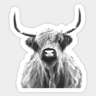 Black and White Highland Cow Sticker